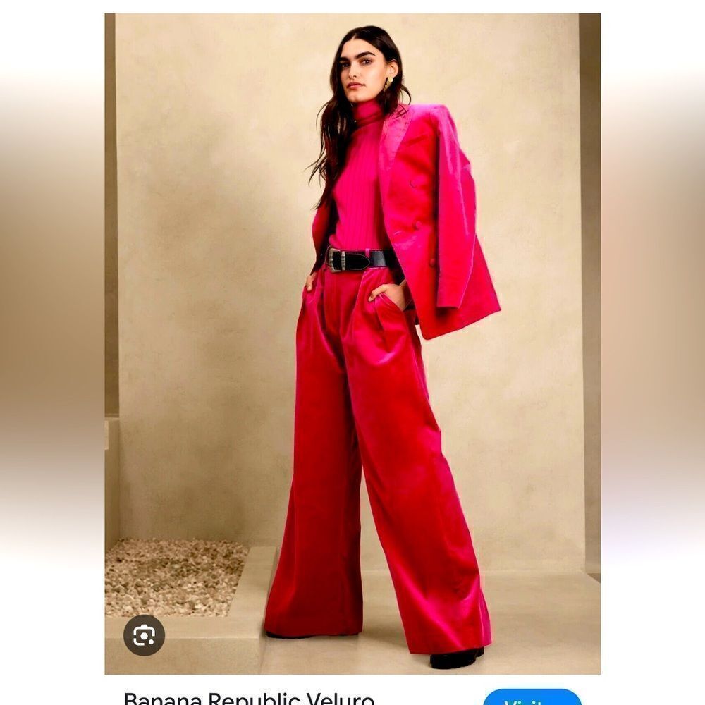 Banana Republic Veluro Relaxed Velvet Pant